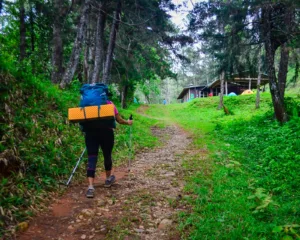 Disfruta de la Reserva Científica Ébano Verde con su piscina natural El Arroyazo